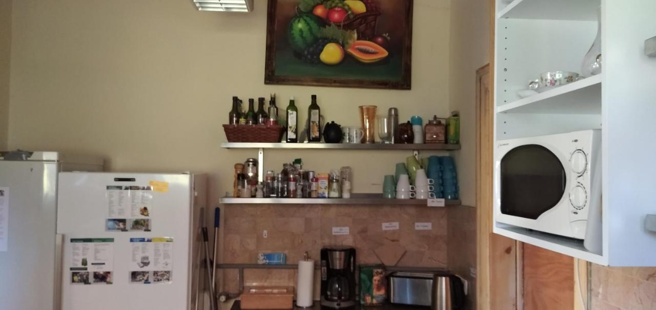 Hummel Hostel - Historische Stadtvilla Mit Garten Βαϊμάρη Εξωτερικό φωτογραφία